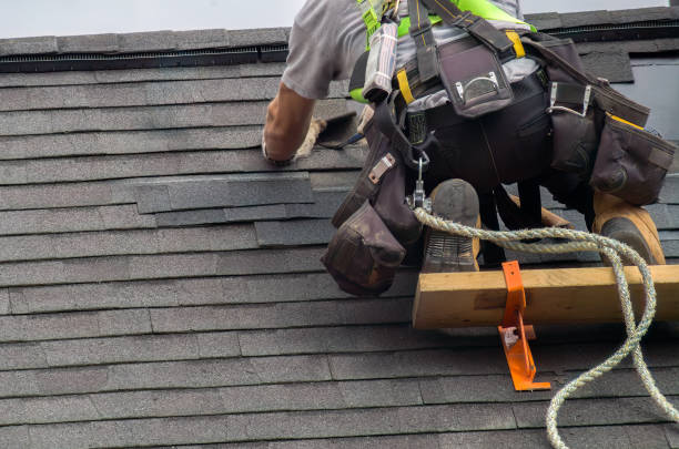 Best Roof Gutter Cleaning  in Lisbon, ME